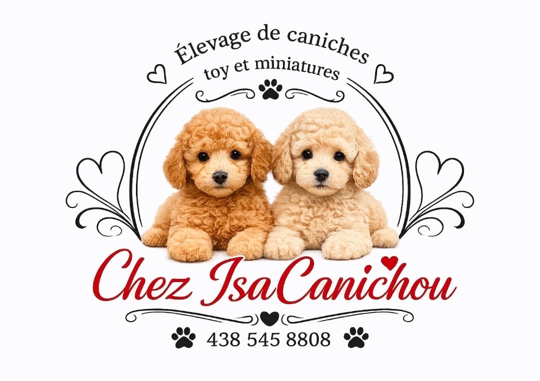 Chez IsaCanichou